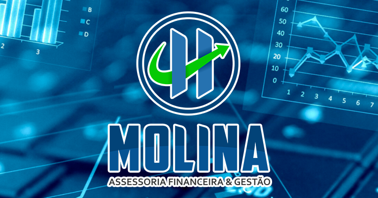 H Molina Assessoria financeira